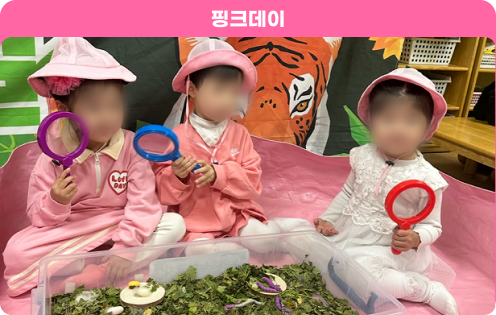 컬러데이 2