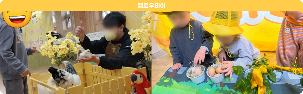 컬러데이 5